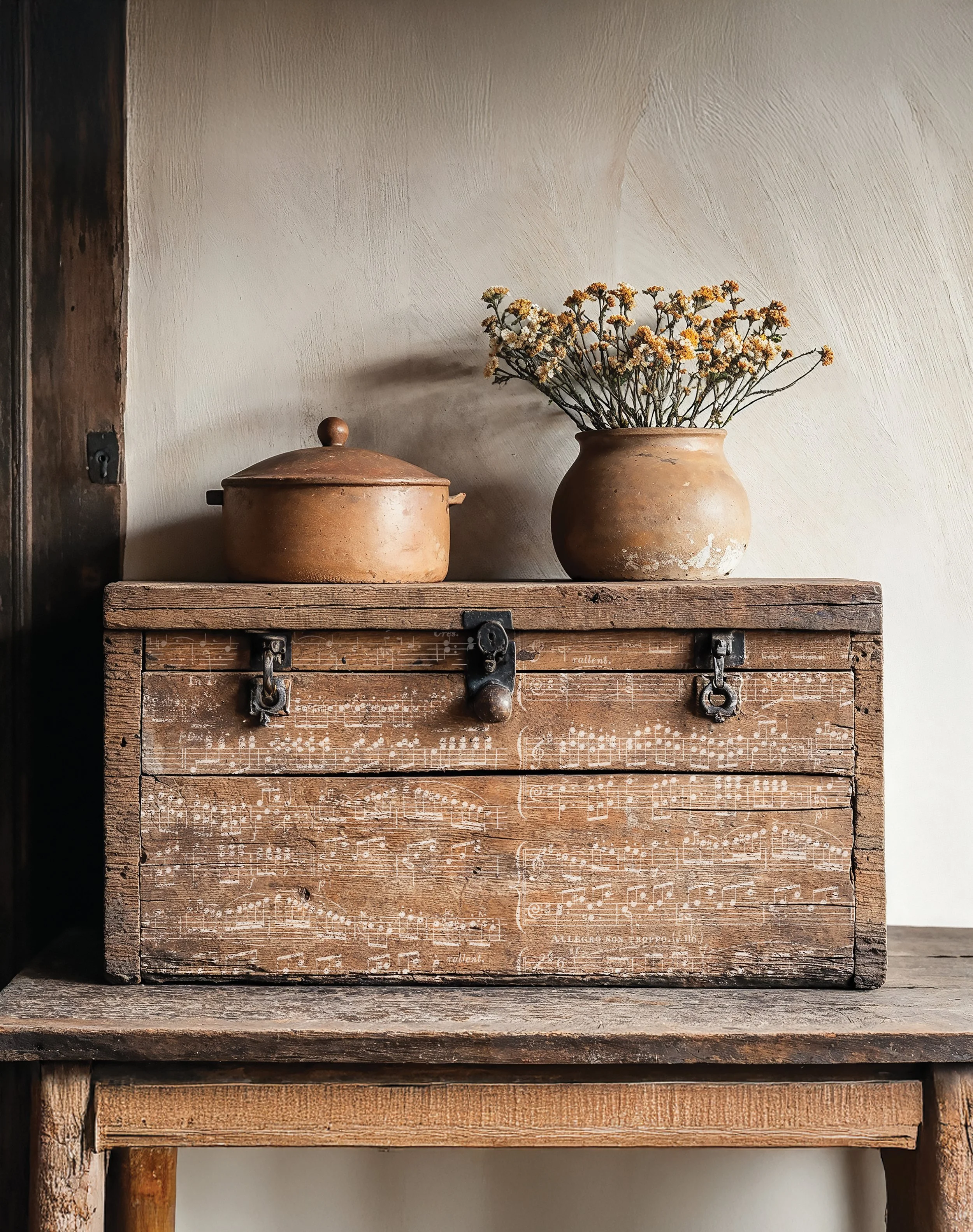 Copy of IOD-STA-WLZ BOP image.jpg