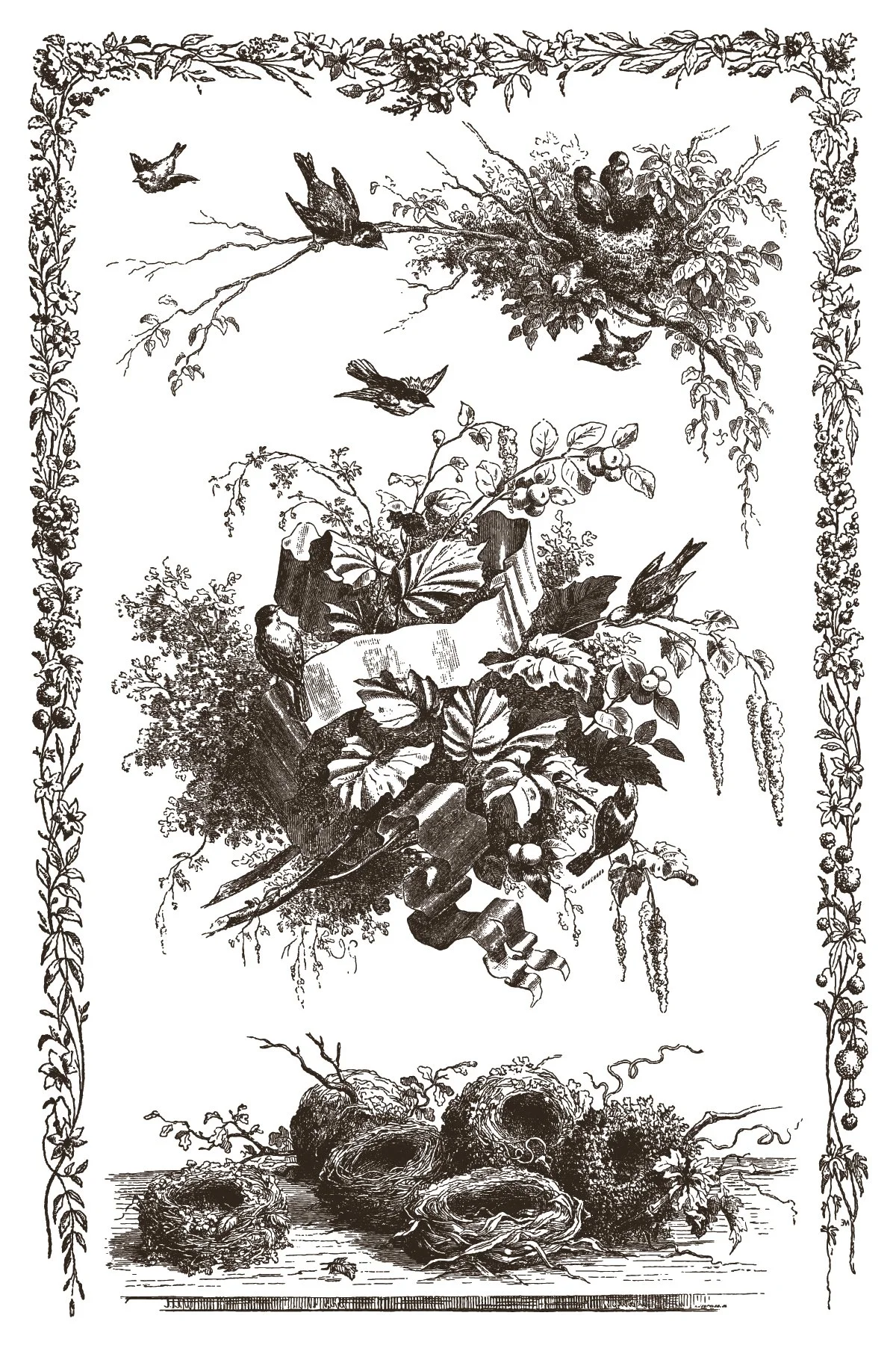 IOD-INL-LIT Little Lark artwork-01.jpg