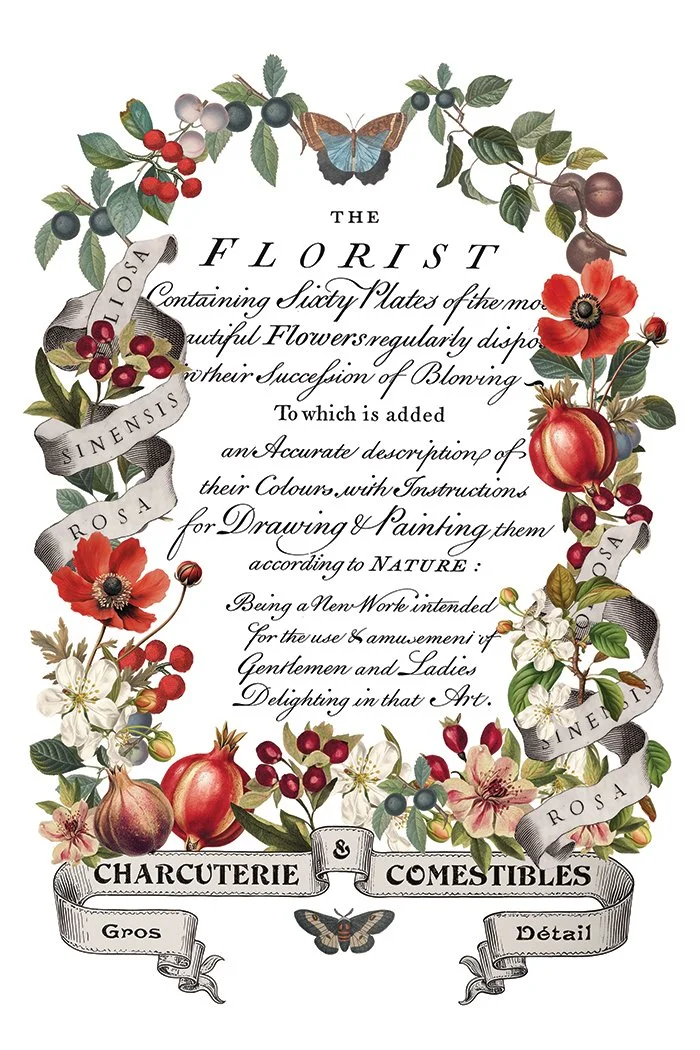 Copy of IOD-TRA-CLE Clementine transfer artwork page 8 small.jpg