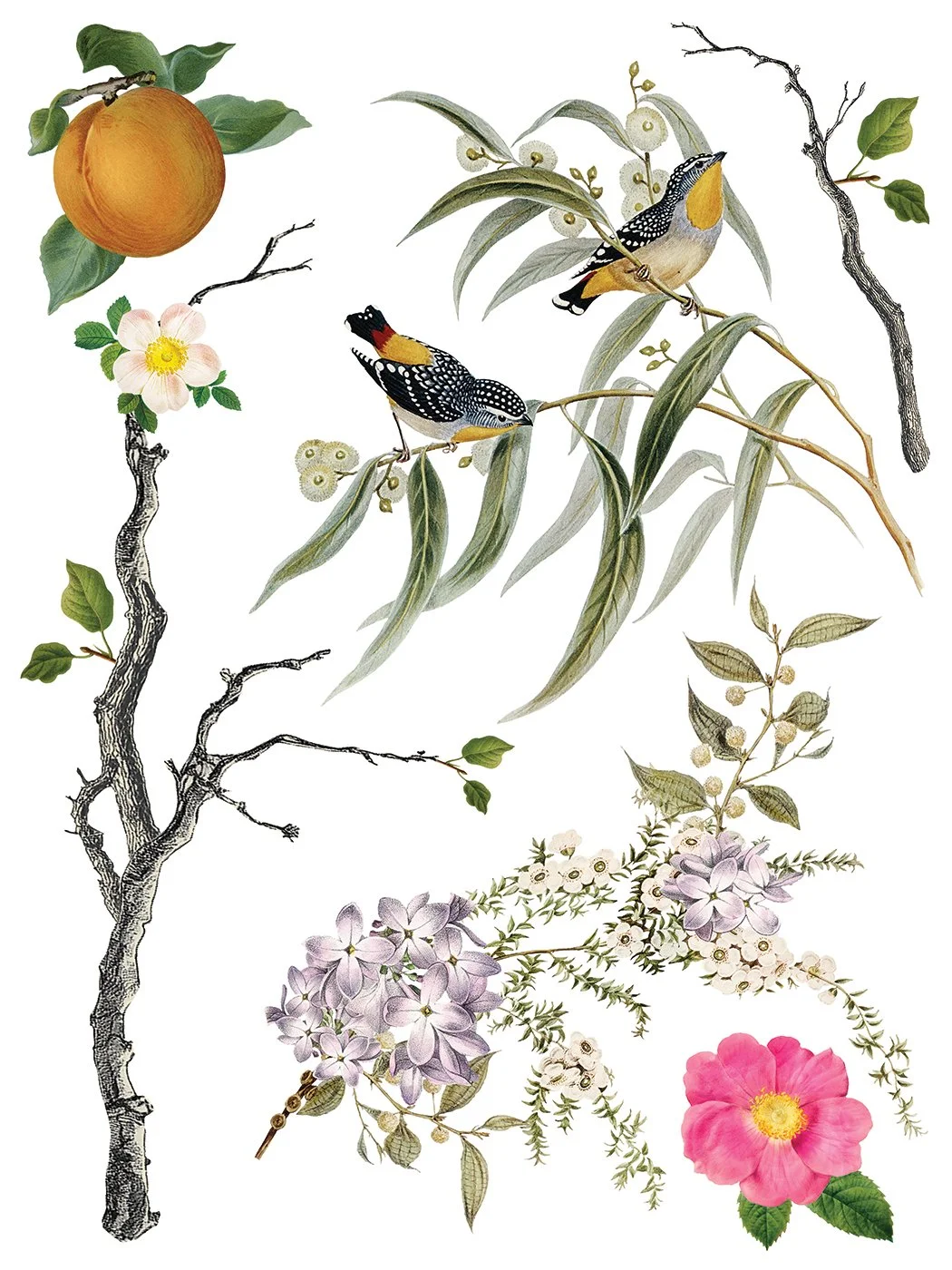 Copy of IOD-TRA-MEN Menagerie transfer artwork page 4 small.jpg