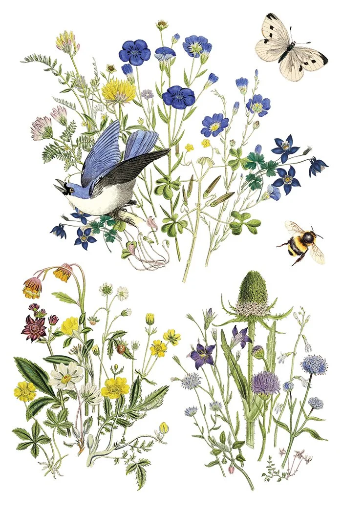 IOD-TRA-FLG Flora Greca page 8 small.jpg