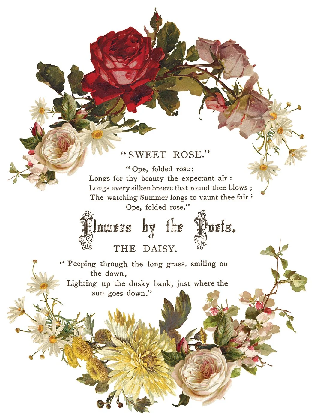 IOD-TRA-FBP Flowers by the Poets artwork page 5 small.jpg