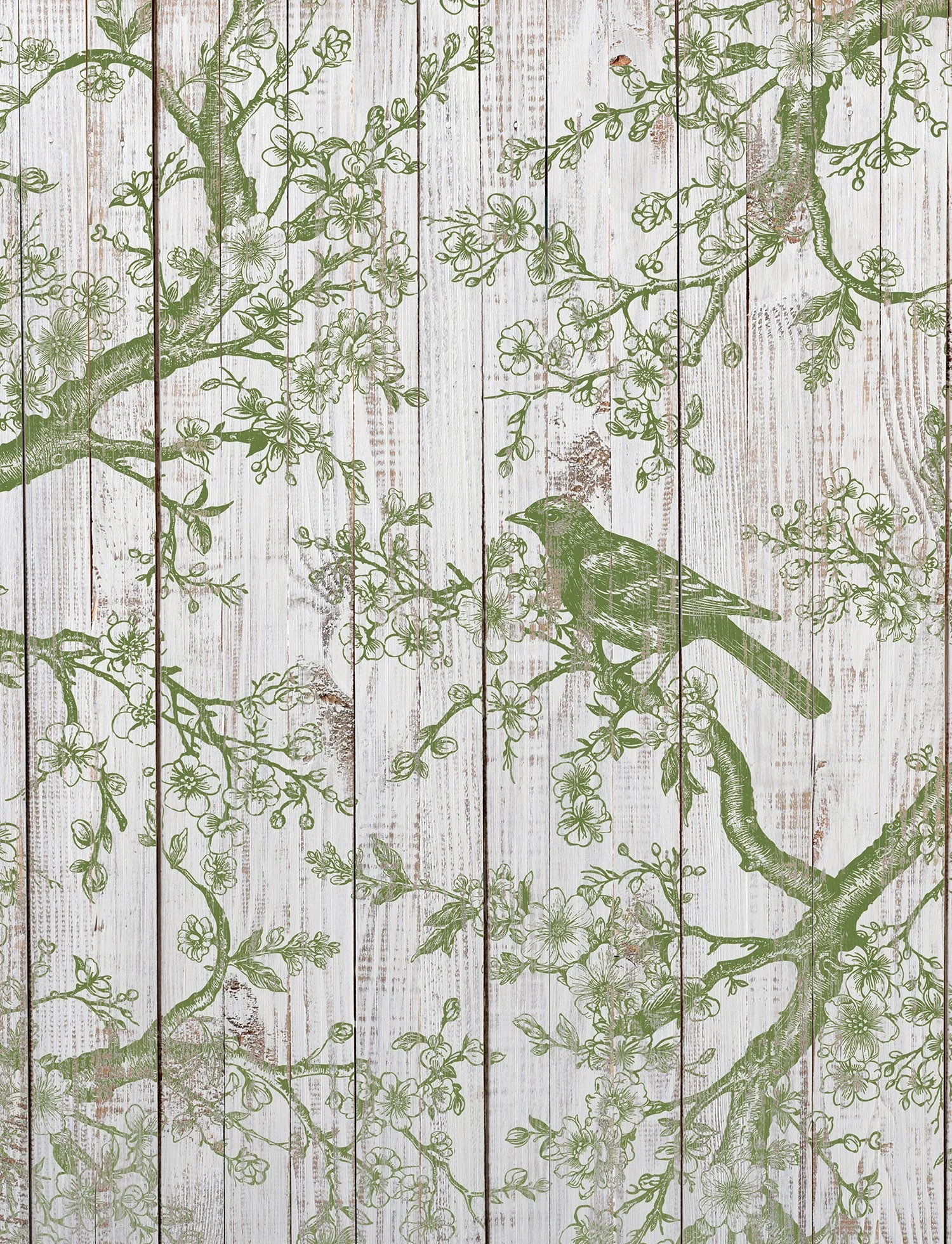 Copy of IOD-STA-SHA image 1.jpg