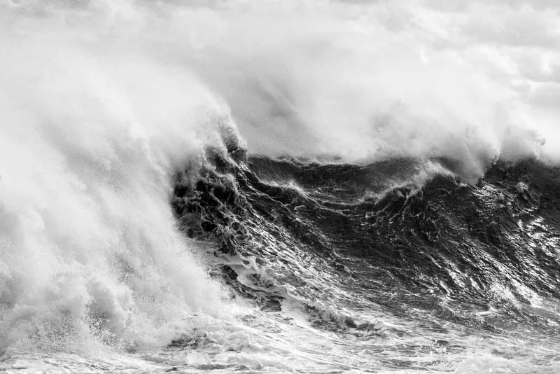 Fury_800px.jpg
