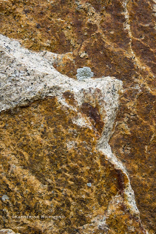 _DSC7689.jpg