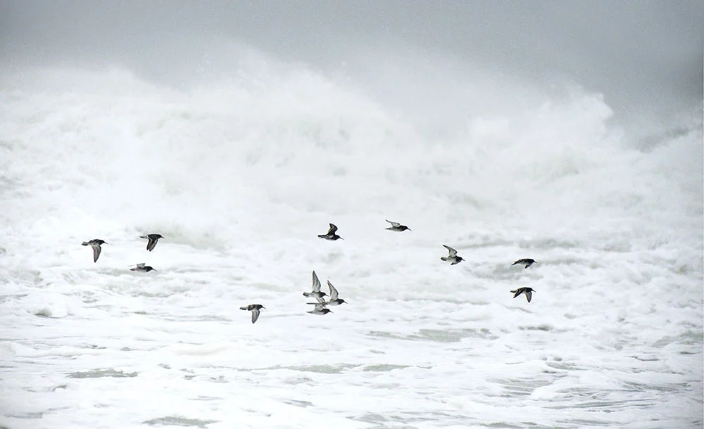 STORMY FLIGHT