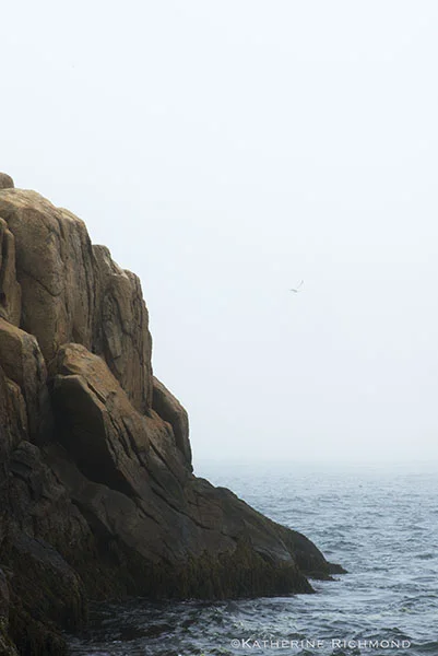 CLIFF SIDE