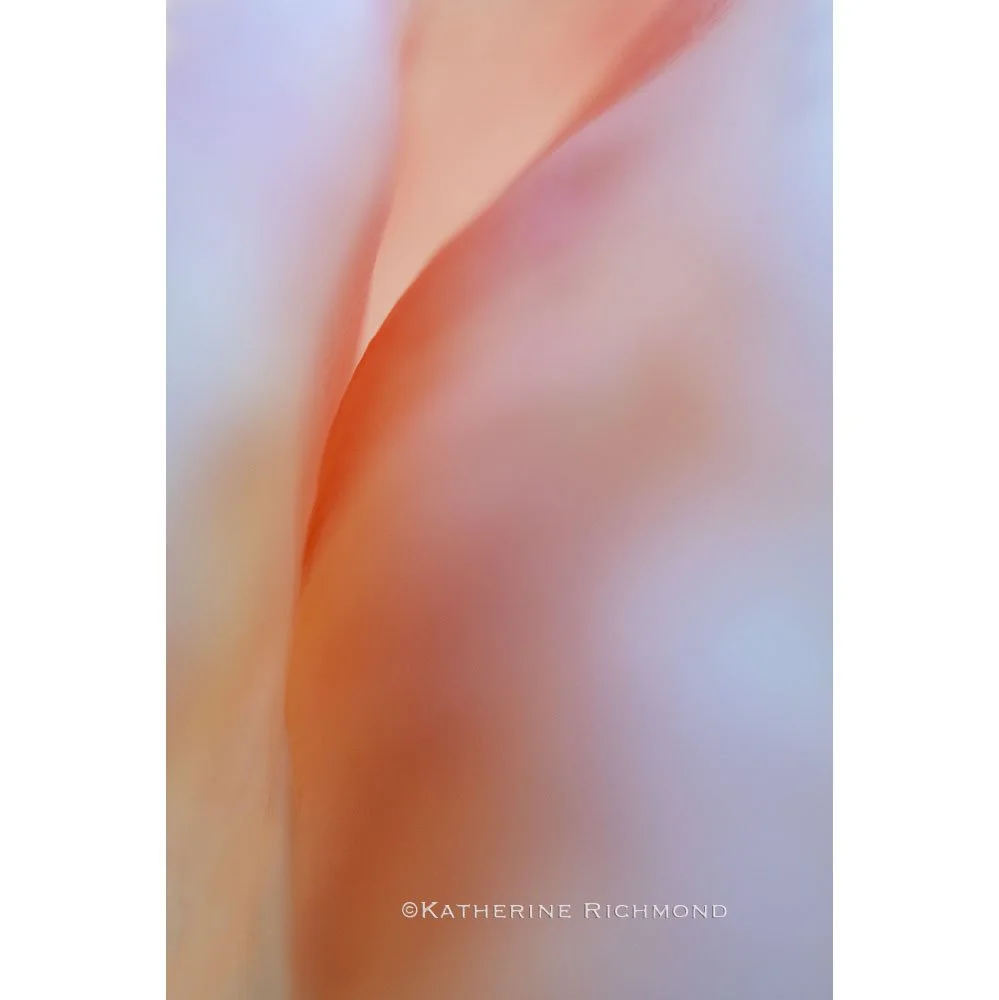 Experimental Group #20 at Charles Fine Arts