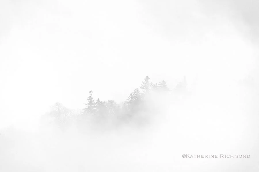 DSC_4777.jpg