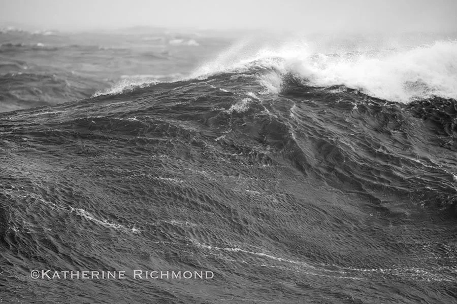 Nor'easter XV
