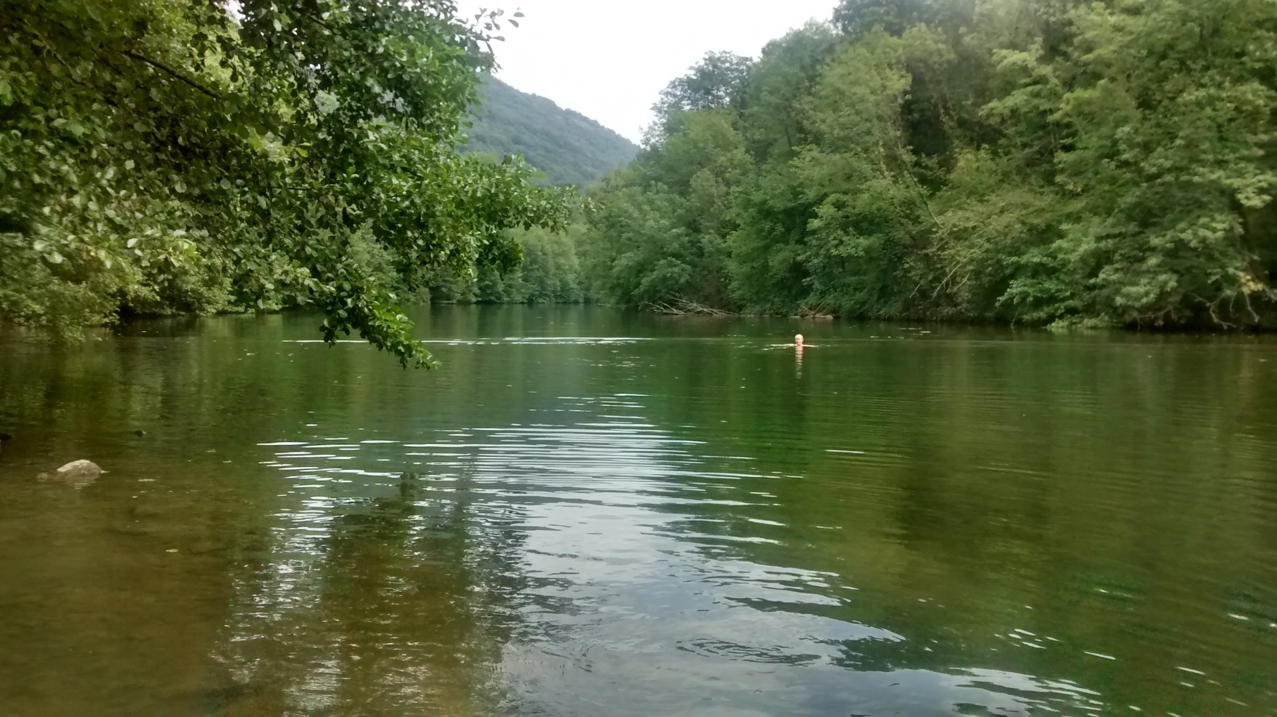 IMG_20170803_131833269_HDR.jpg