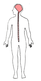central.png