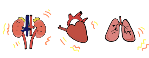 organos inflamados.png