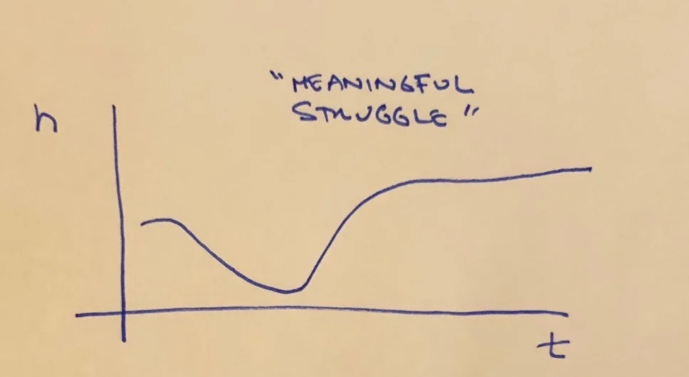 Meaningful Struggle.jpg