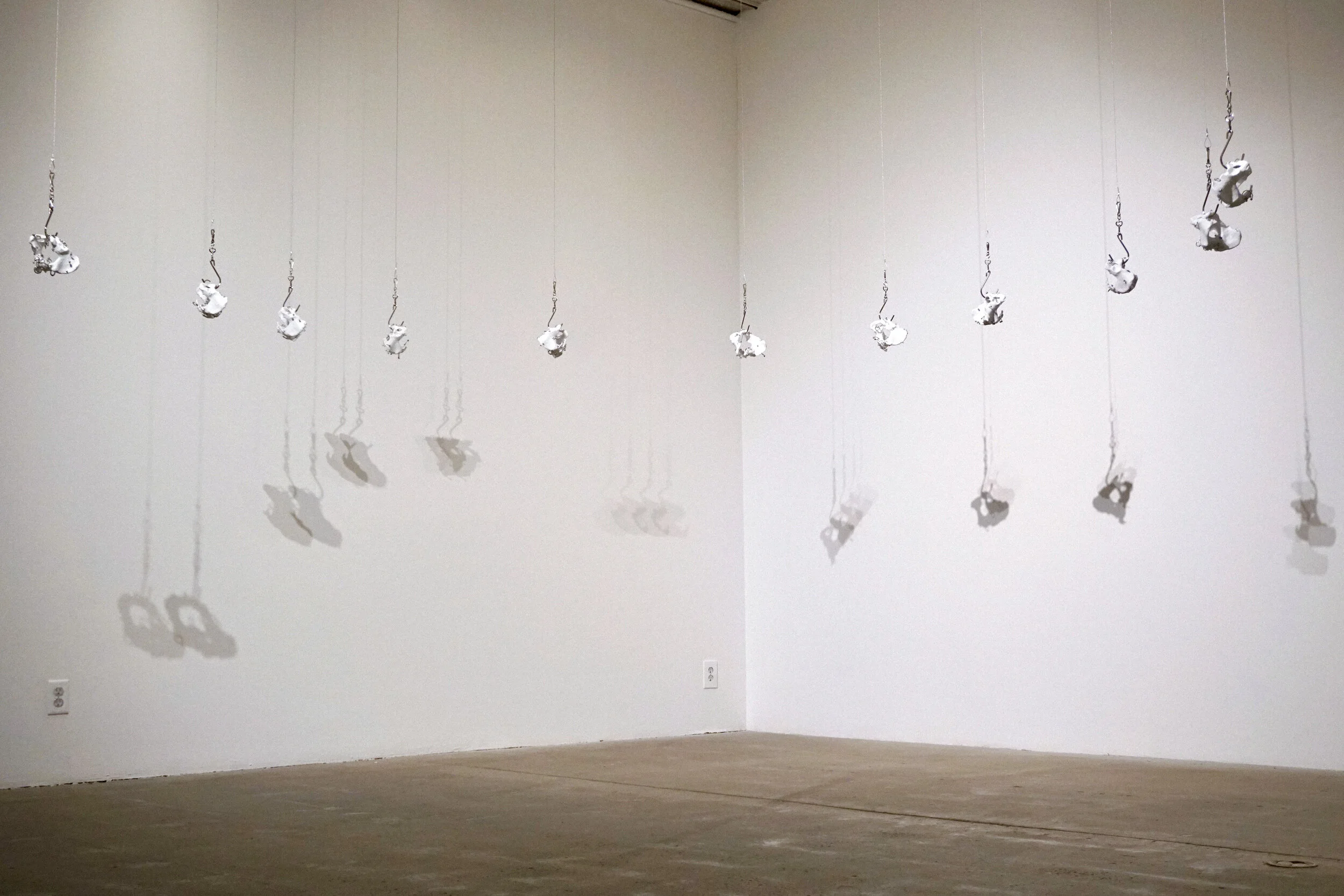 New Artifact Installations Standards The Local Resource Guide: Preserving Your Own Piece of Utah