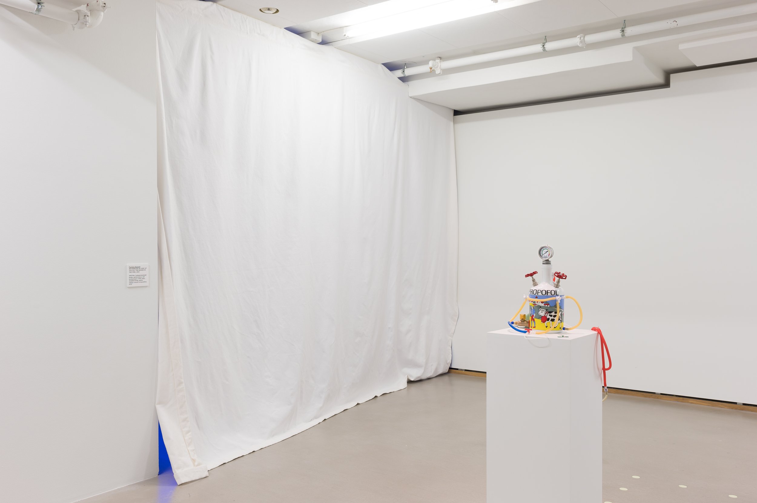 INSTALLATION VIEW