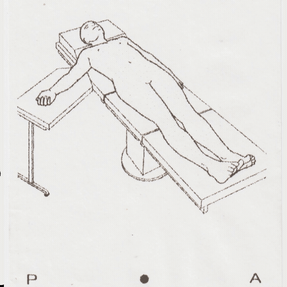 supine_1.gif