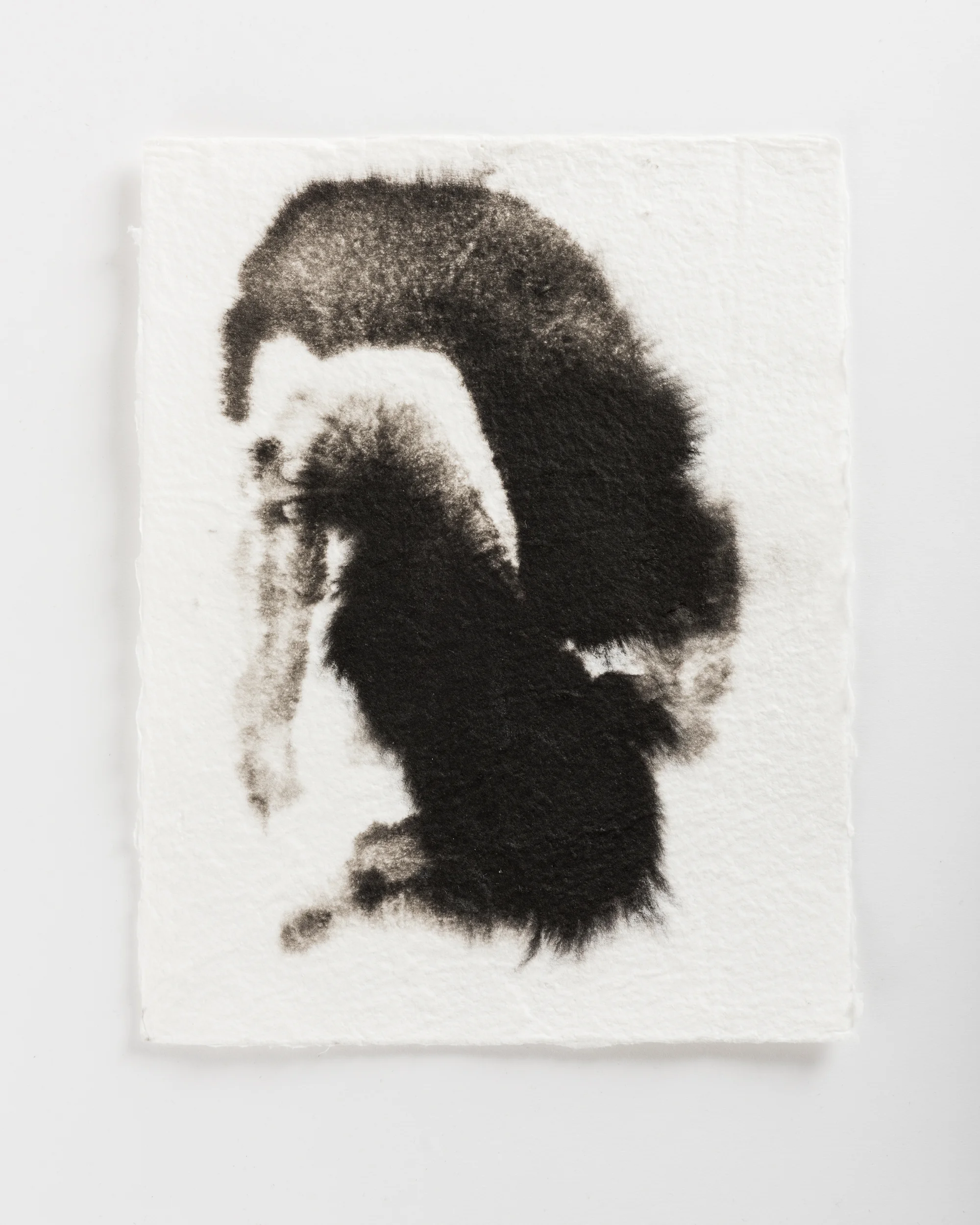 Handmade paper. Made by hydrating and beating cotton linter, and then forming 8x10 sheets onto a vacuum table and adding black pigment directly to the wet sheets.