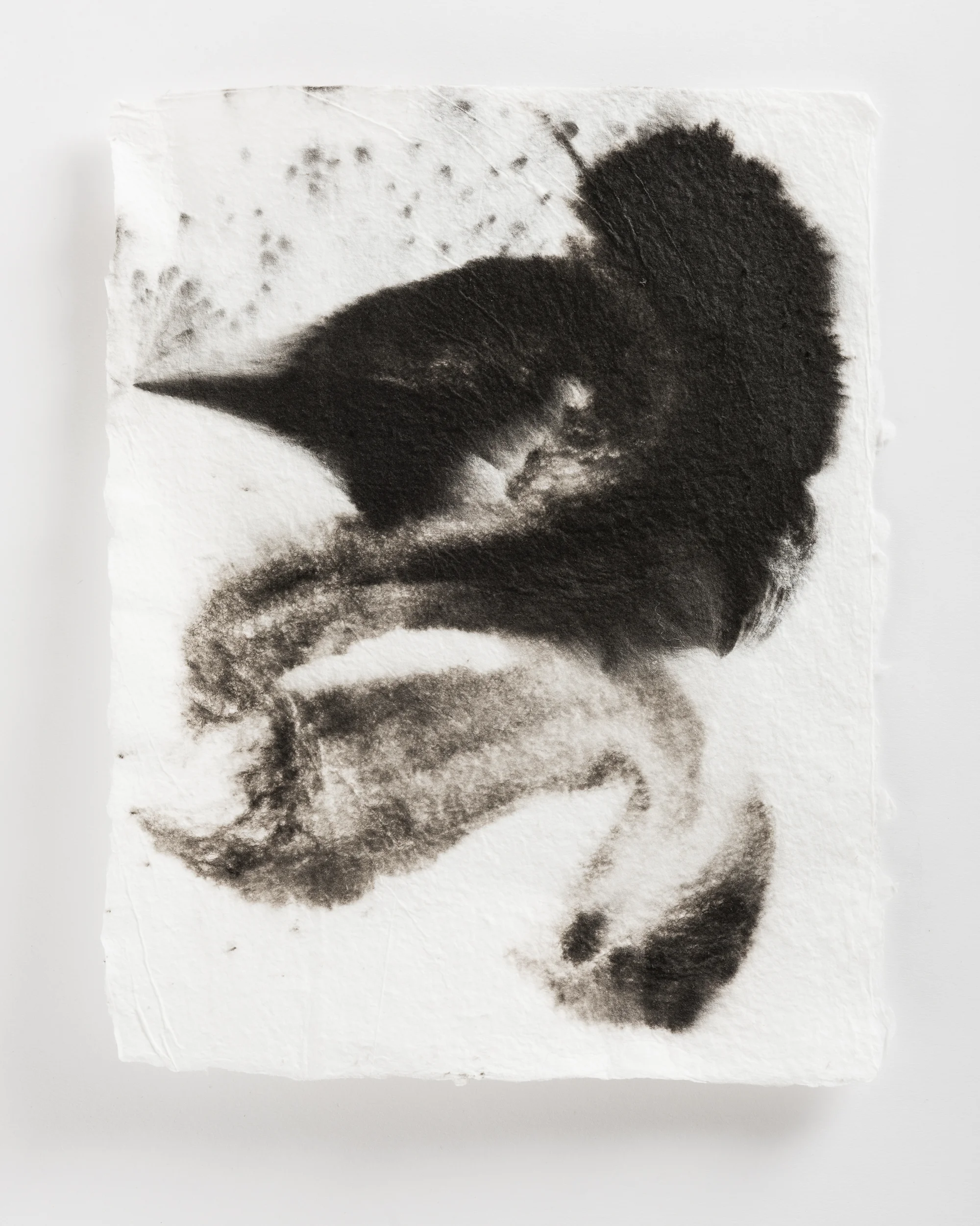 Handmade paper. Made by hydrating and beating cotton linter, and then forming 8x10 sheets onto a vacuum table and adding black pigment directly to the wet sheets.