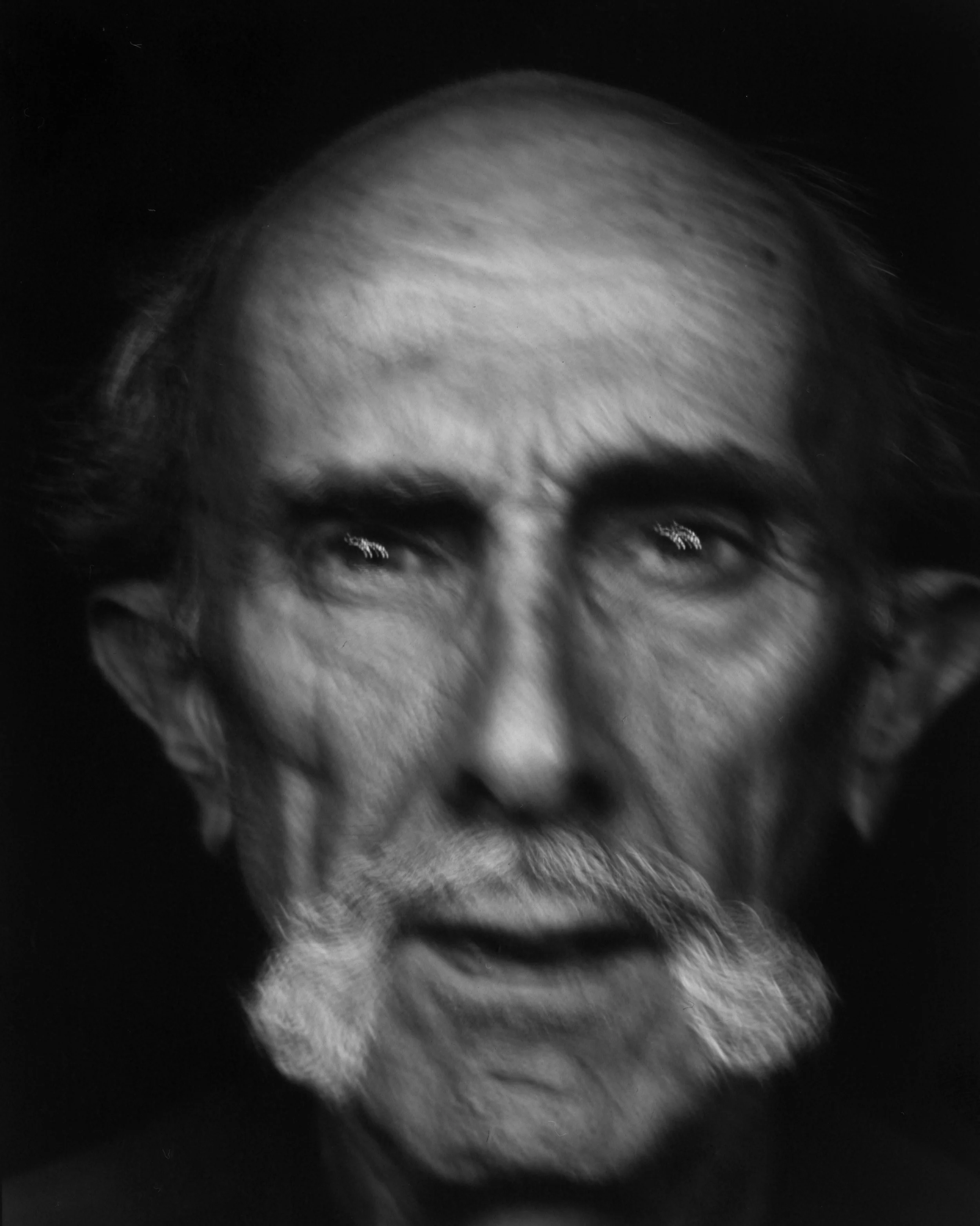 Paper Negatives Terry Sawyer