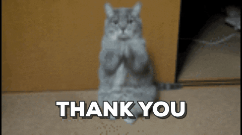 thank you.gif