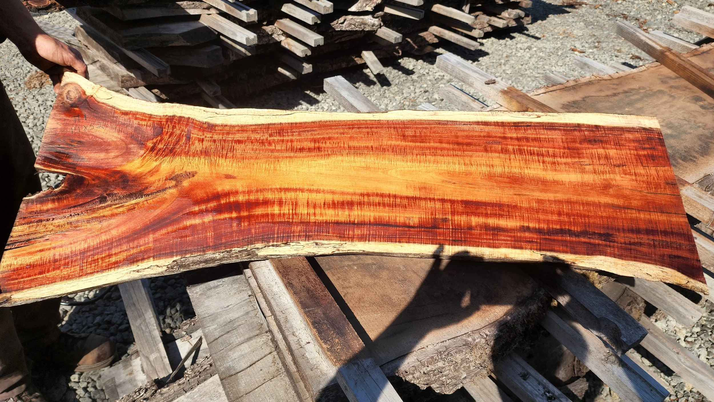 Koa 14 x 53 x 1.25 4a grade no 1.jpg