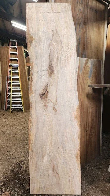 Hawaiian Manago kiln-dried wood slab