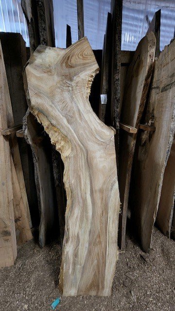 Hawaiian Monkeypod kiln-dried wood slab