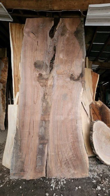 Black walnut 62 56 65 x 150 x 3.jpg