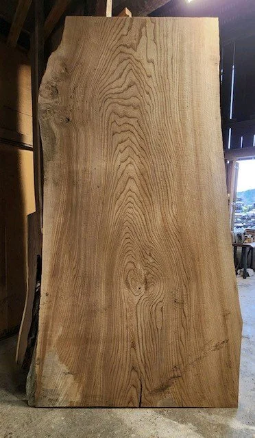 Elm 60x40.jpg