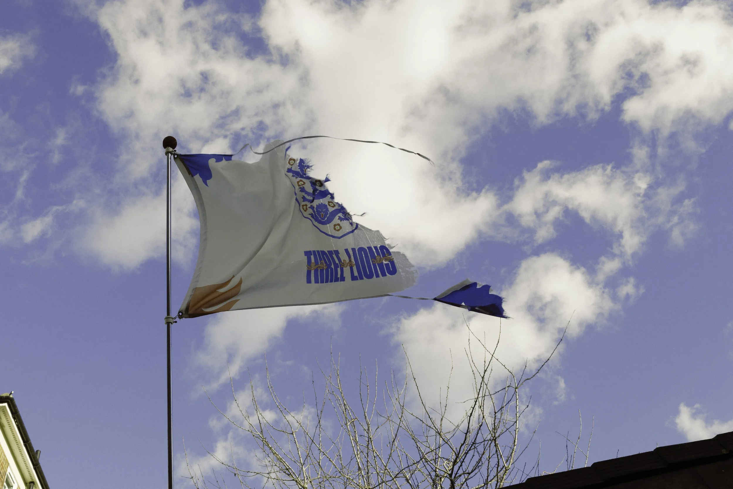 IMG_7167-2 copy 2.jpg