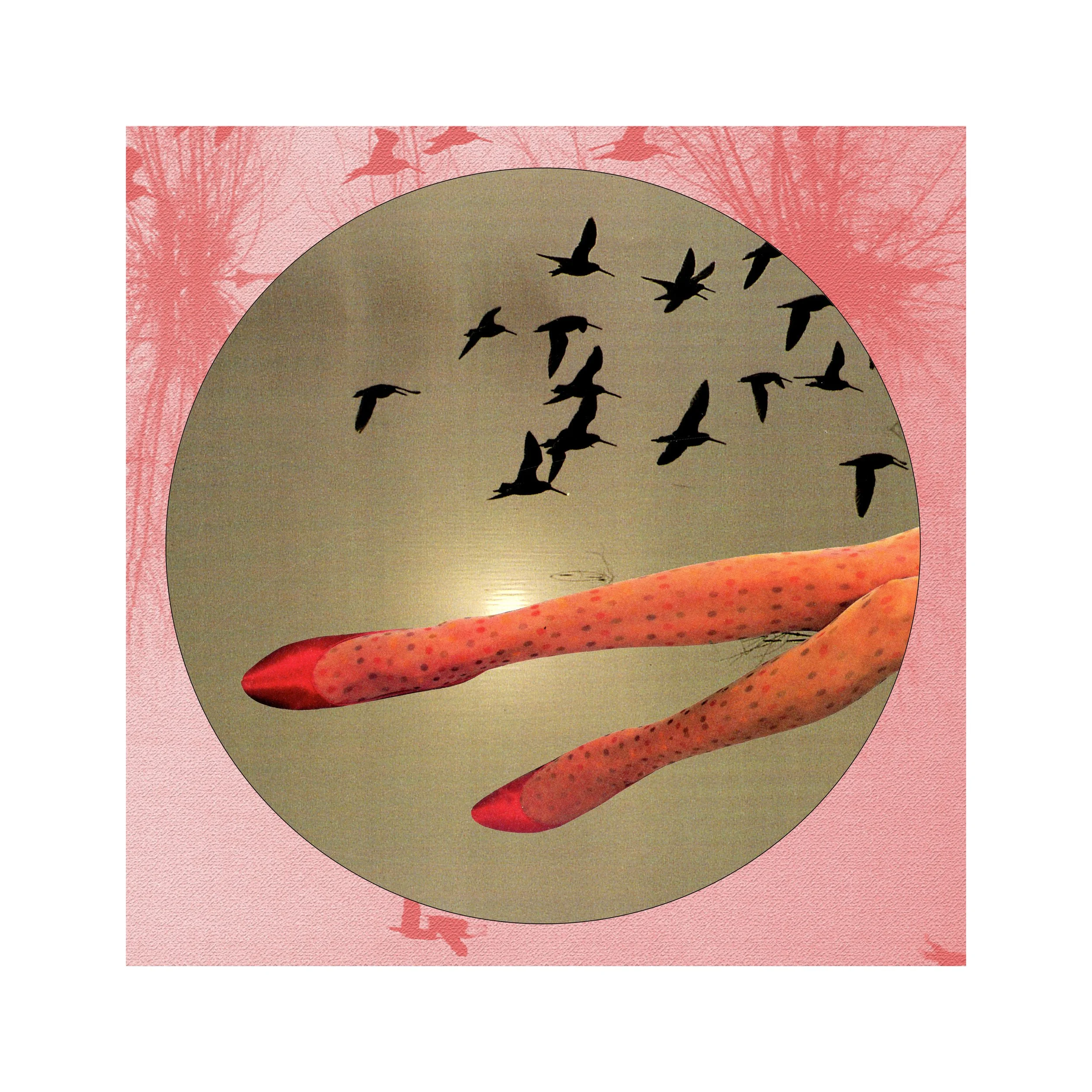 "The Magic Pair" 10x10 print