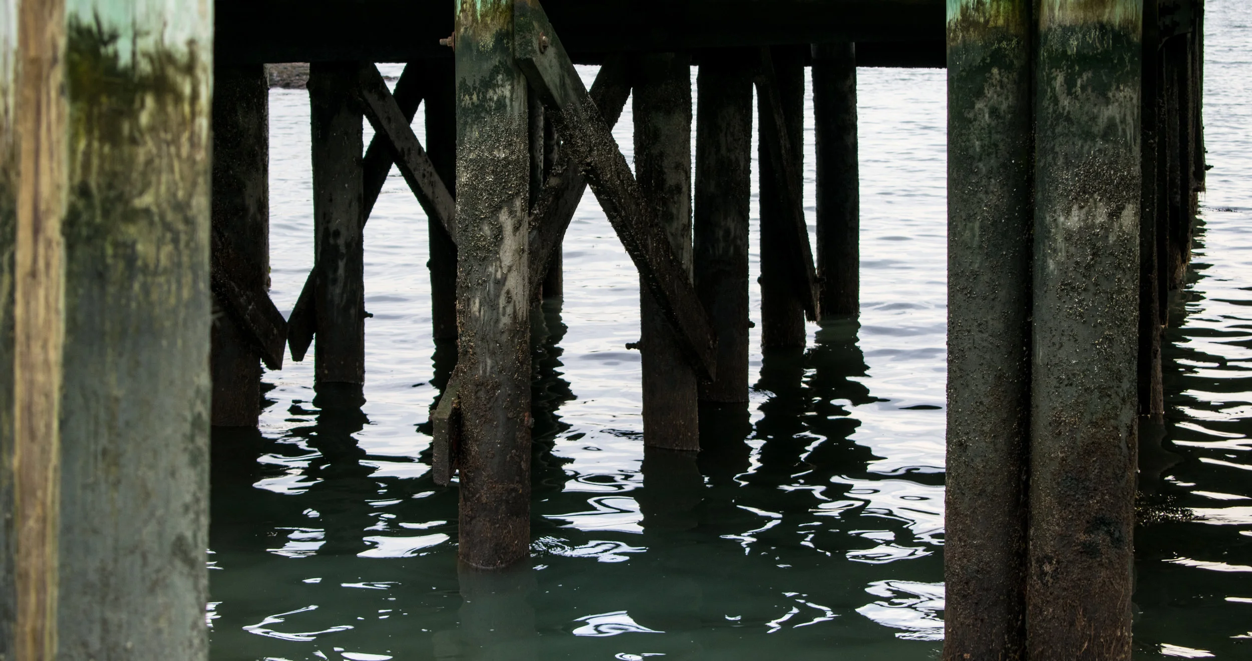 Docks in Branford