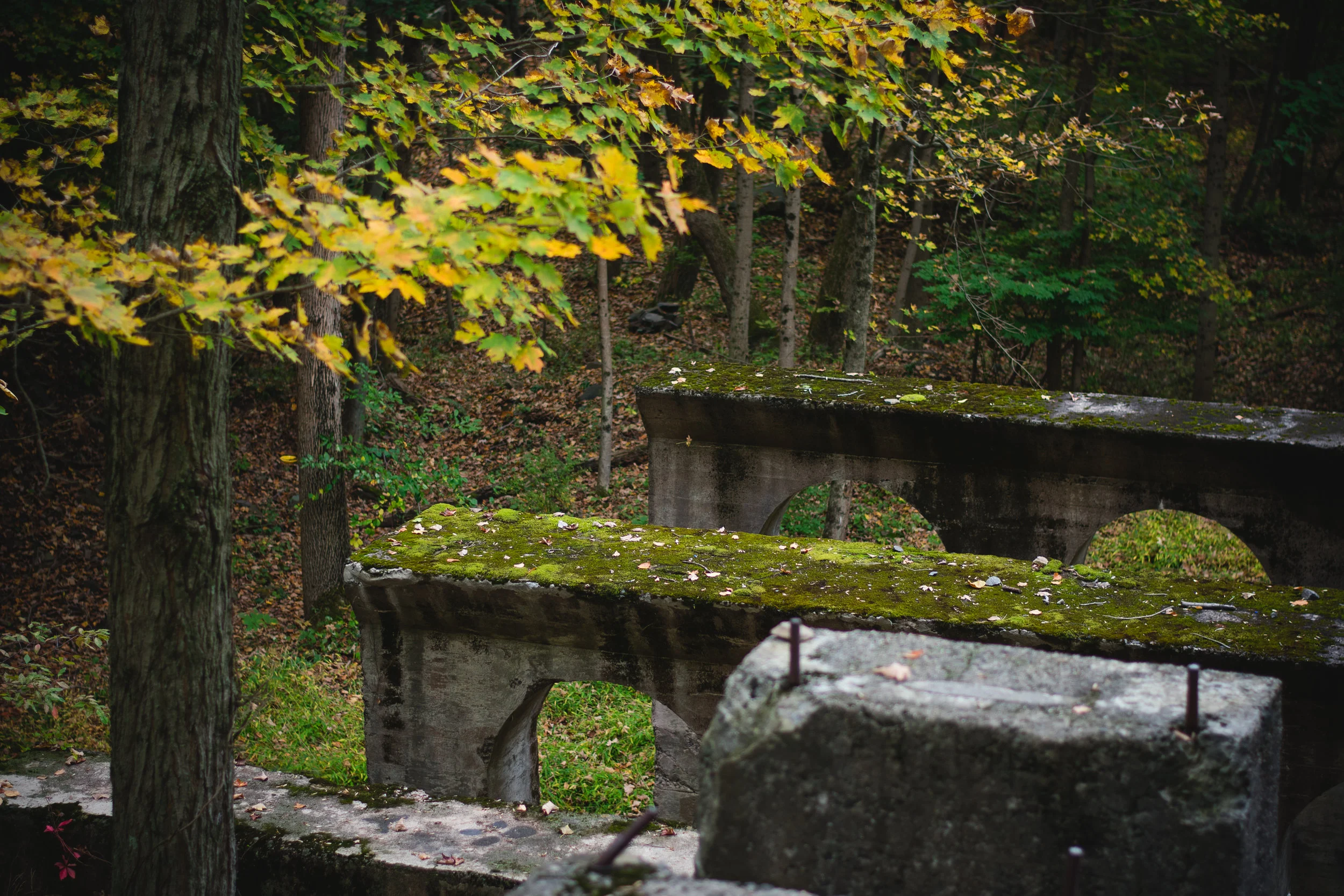 Sleeping Giant State Park