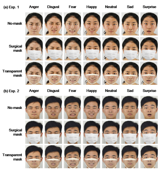 Transparent masks allow perception of facial expressions, bringing a