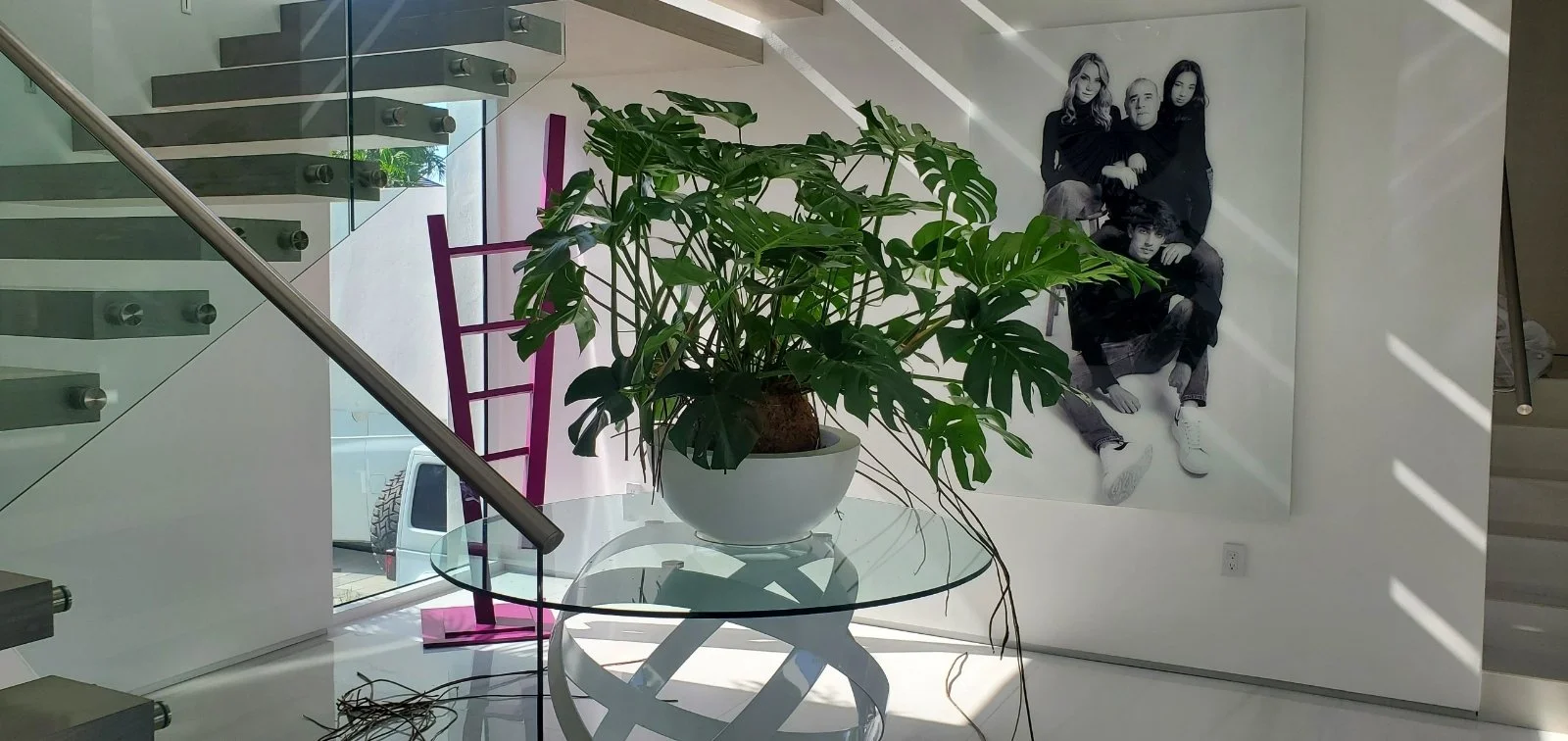 plantsasinteriordesign.jpeg