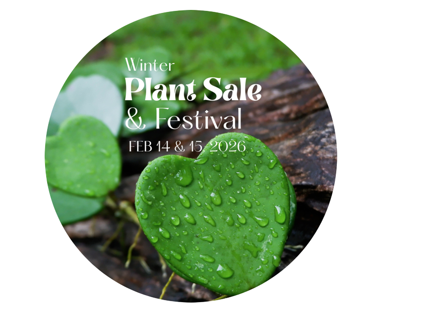 Mounts Botanical Garden - Plant-a-Palooza Winter Plant Sale – Rain or Shine!