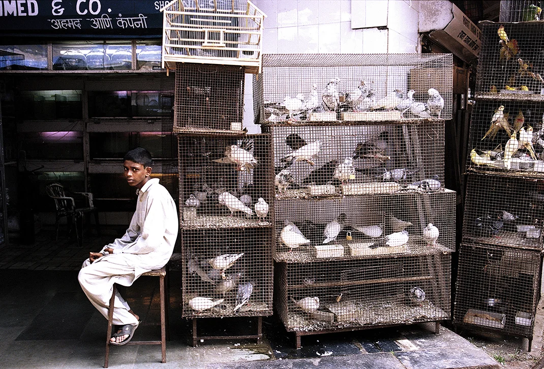 BOMBAY-2008