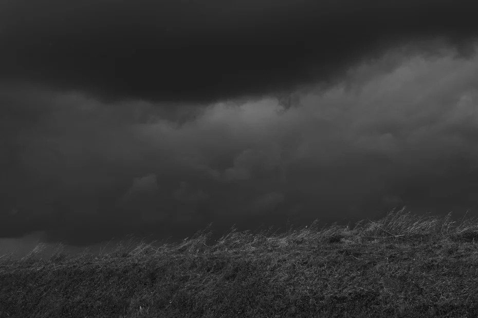 reveries07.jpg