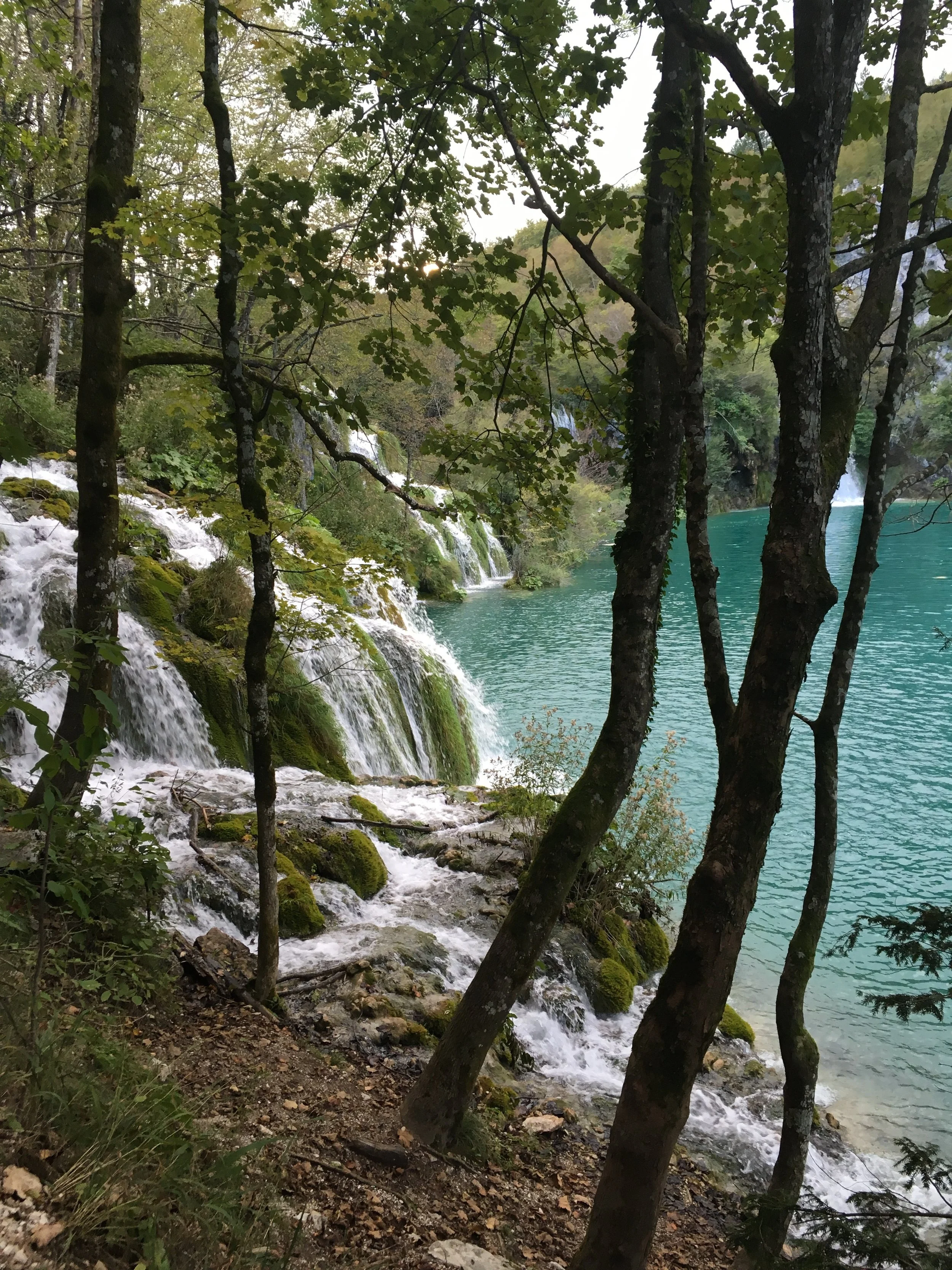 One of the most enchanting places I've ever been: Plitvice Lakes National Park in Croatia. We were there in September 2017.