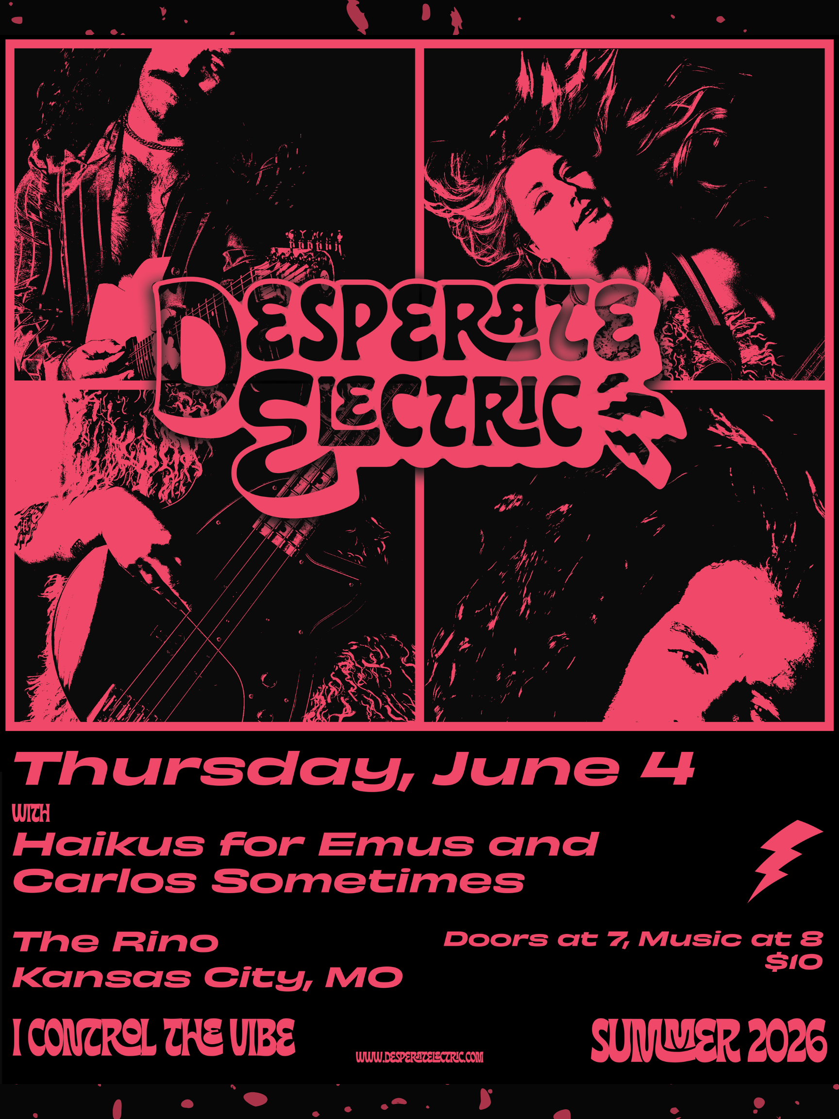 Desperate Electric | Haikus For Emus | Carlos Sometimes