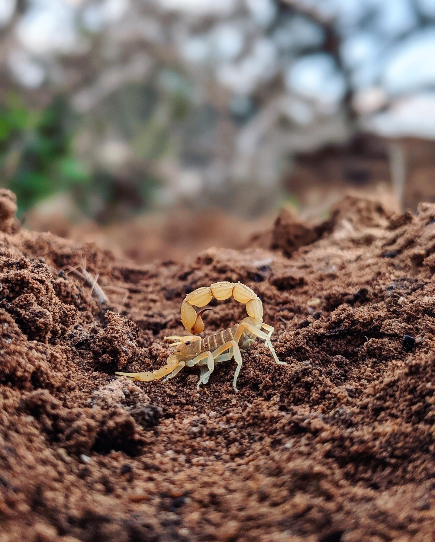 I make all sorts of friends out on location&hellip; this one packs a punch.