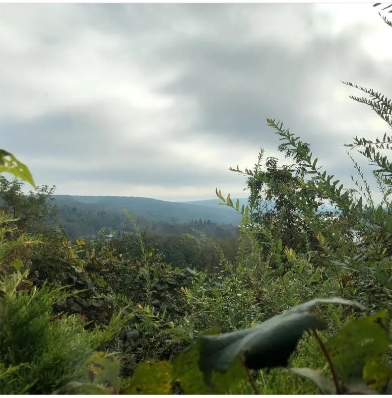 Episode 31: LuxeCon2018 