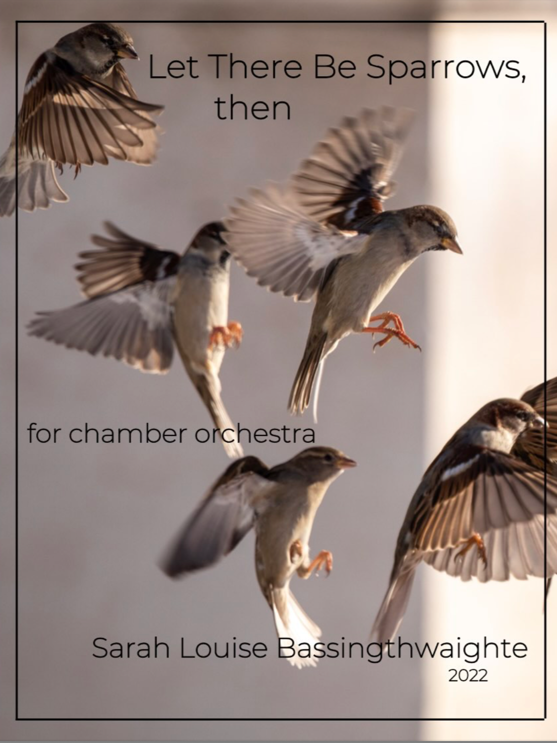Let+There+Be+Sparrows%2C+then+for+chamber+orchestra+cover+only.png