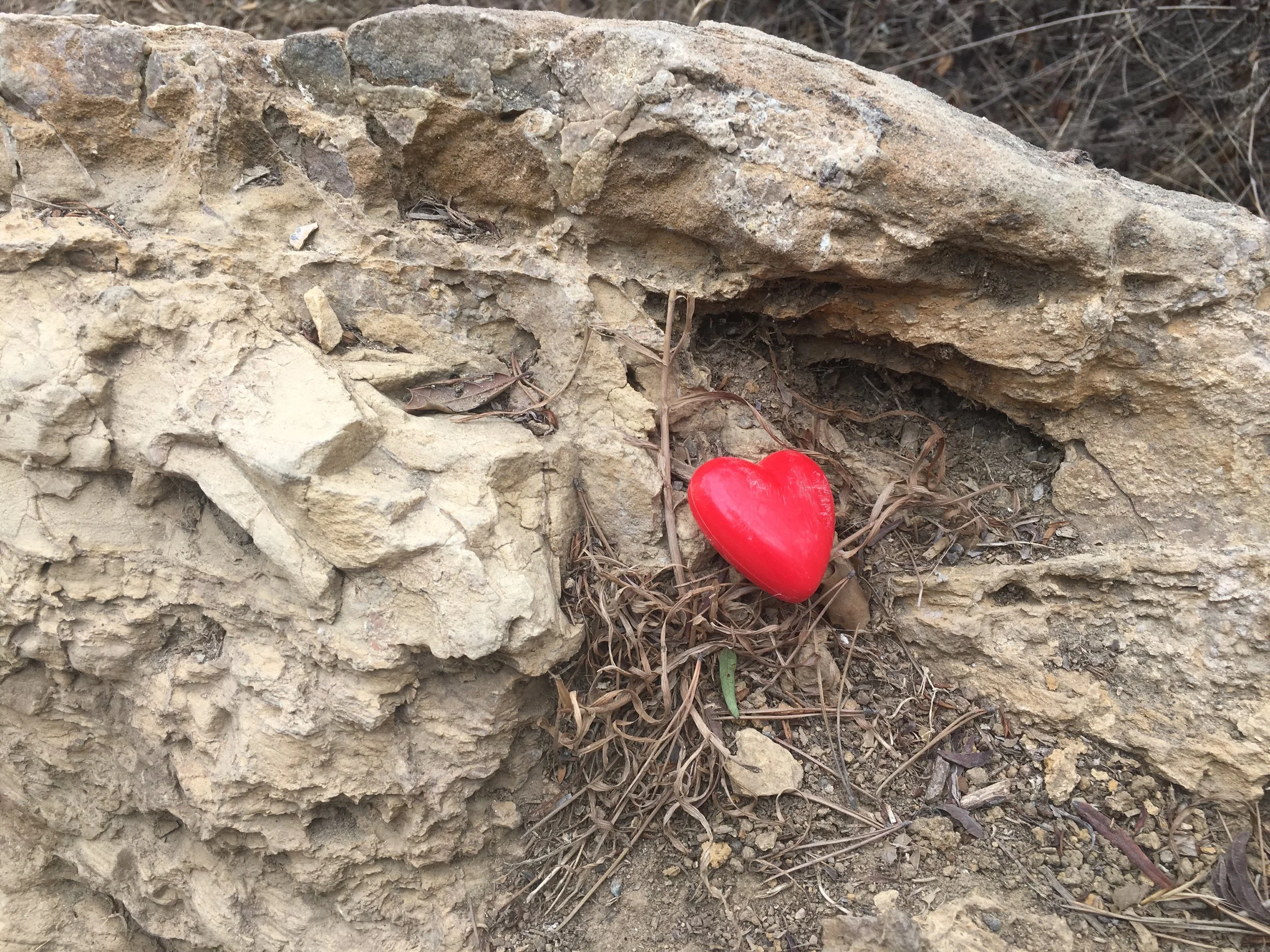 Everything Is In The Way