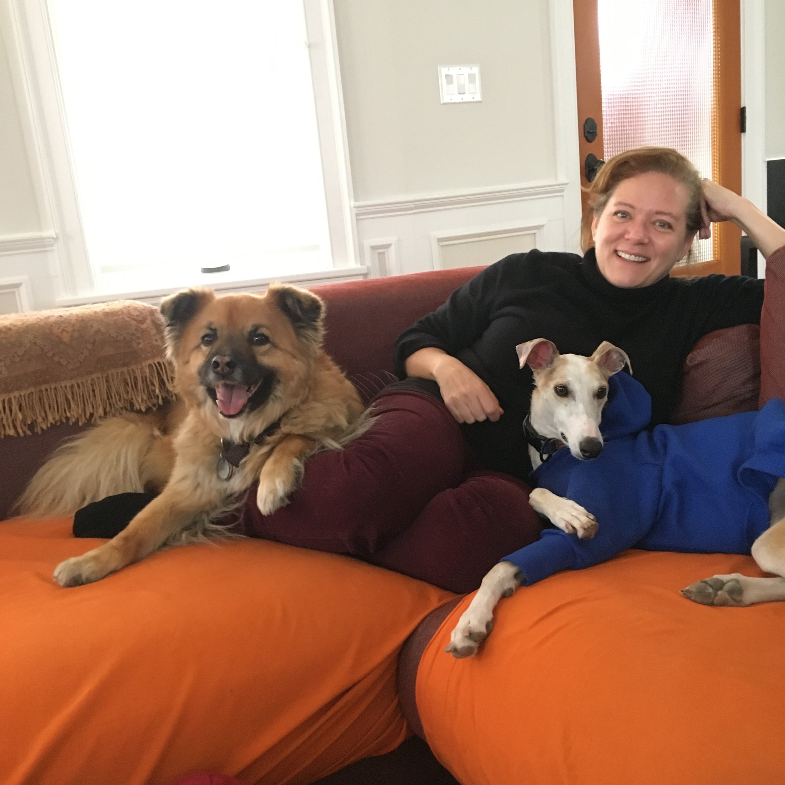 Dharma Dog NYC New York Dog Training Separation Anxiety Puppy