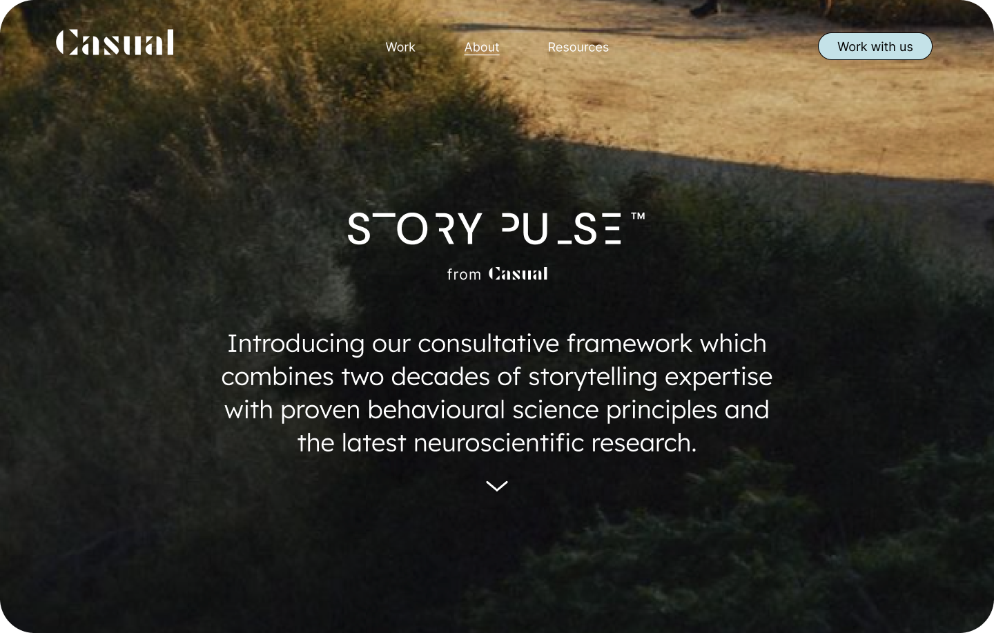 StoryPulse_01.png