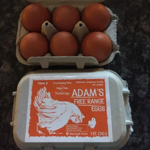 Adam's Eggs