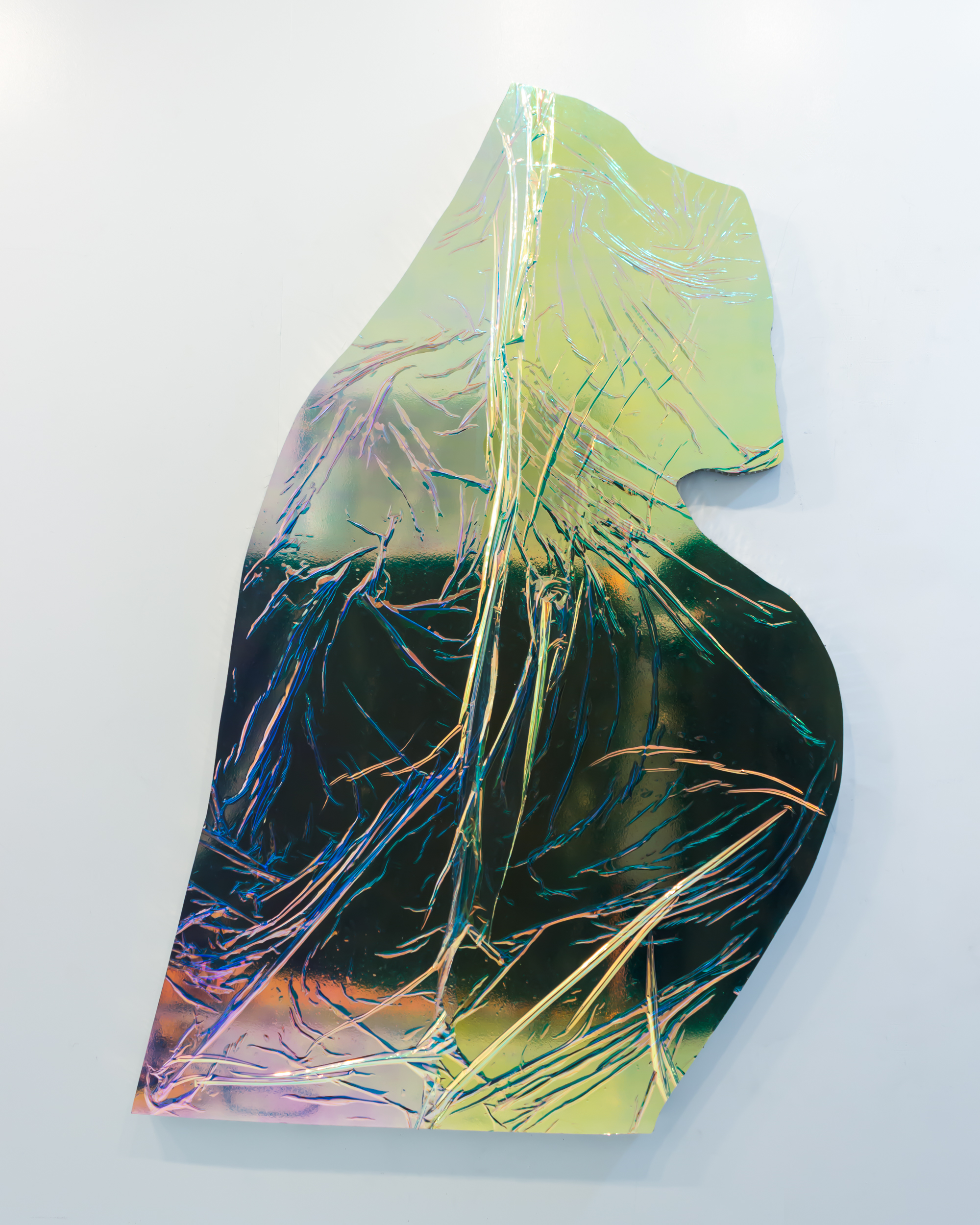   Carol Peligian   REM I , 2017 aluminum, paint, film, pigment and urethane 70 x 41 x 2 inches ( 177.8 x 104.1 x 5 cm ) 