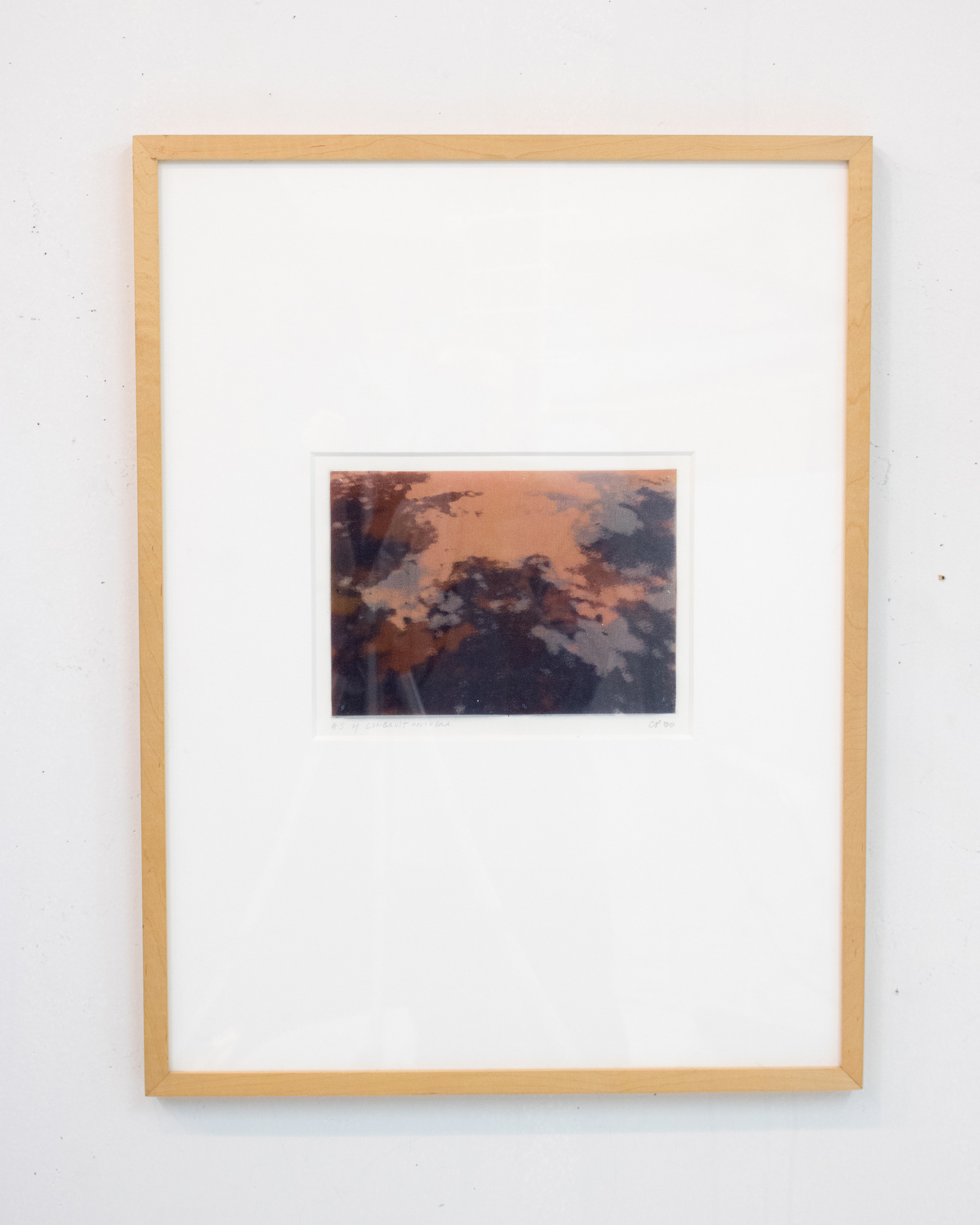  Carol Peligian,  Congruit Universa II , 1999, silk, graphite, plastic, ink, 24 3/4 x 18 3/4 inches 